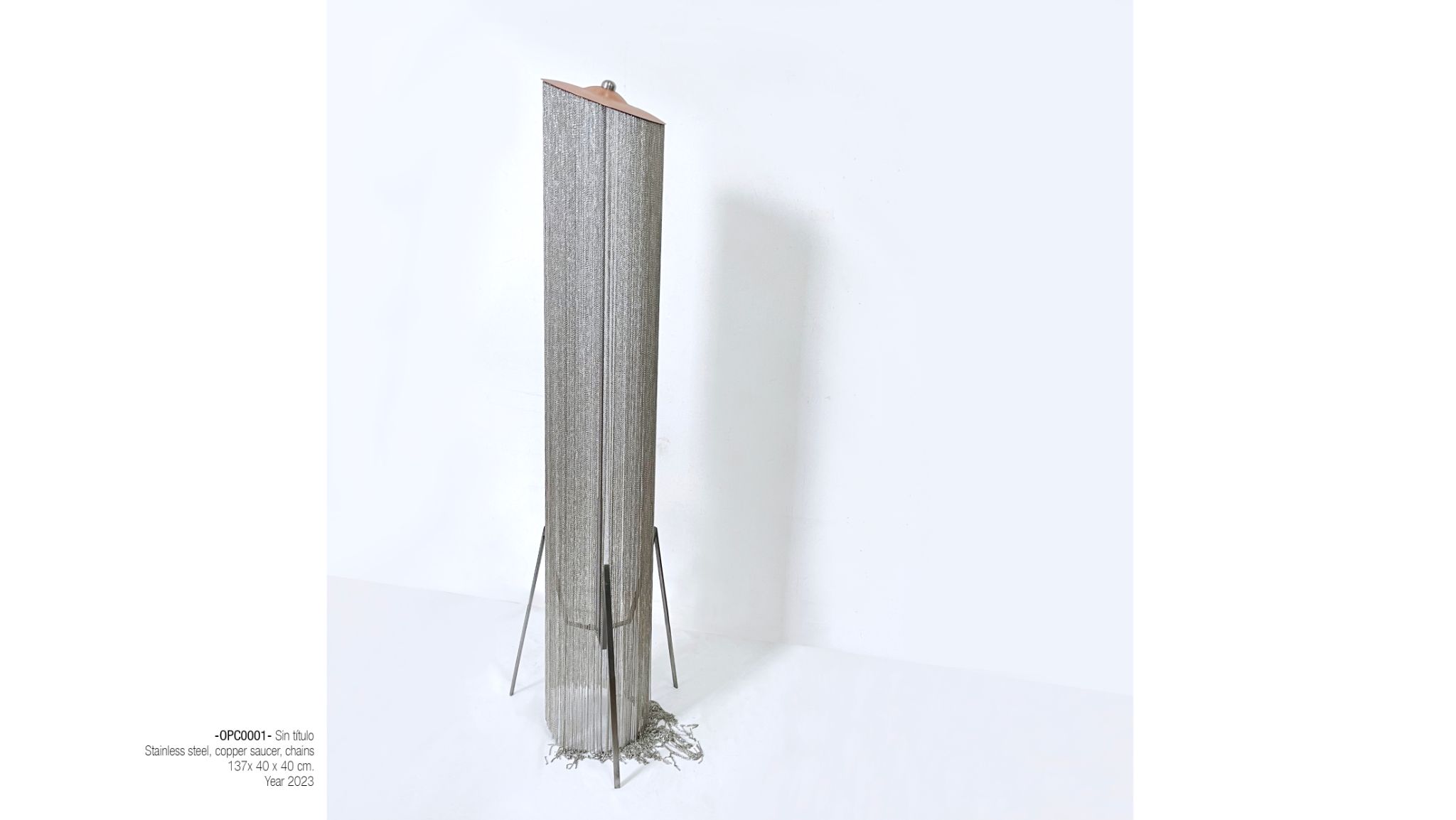 2025 DM port.para web. P20